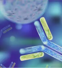 Developing, validating and implementing anti-drug antibody (ADA) immunogenicity and neutralizing antibody (nAb) assays.