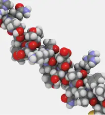Supporting in vivo DDI studies in clinical drug development through quantitative LC-MS/MS assays.