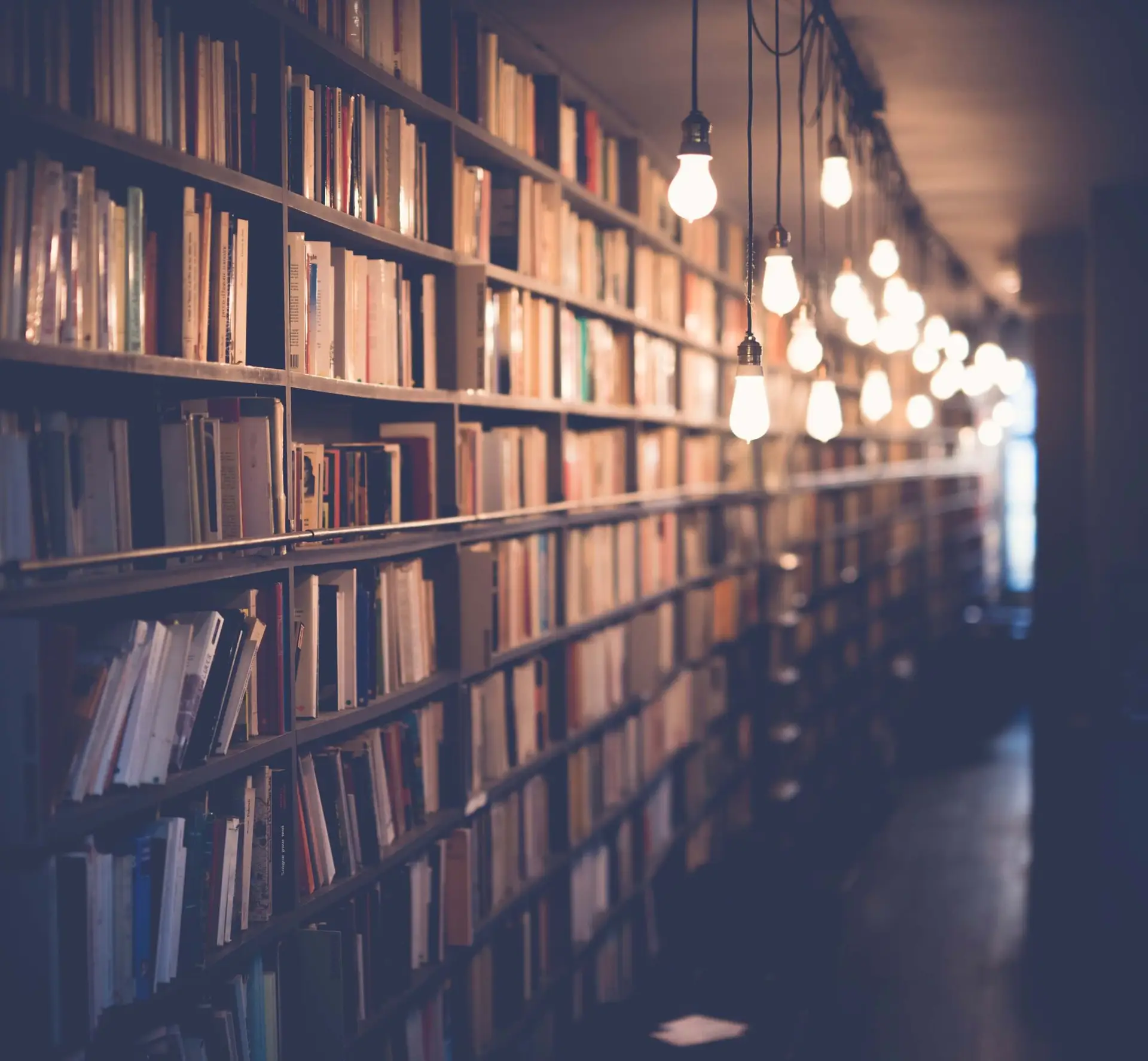Bookshelves illuminated by hanging lights
