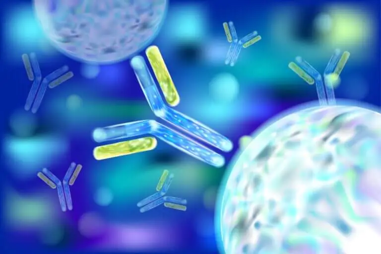 immunogenicity graphic antibody virus 1
