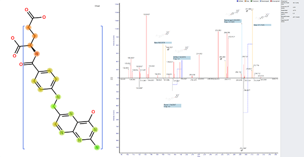 Molecular characterisation using advanced structural elucidation tools