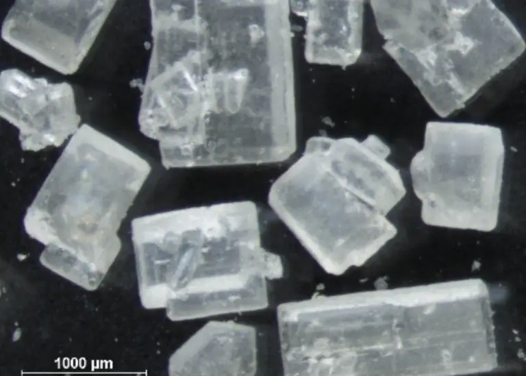 Light Microscopy & SEM Analysis Services - Resolian Analytical Sciences