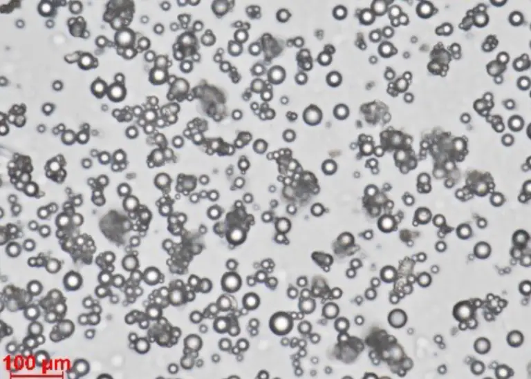 Light Microscopy & SEM Analysis Services - Resolian Analytical Sciences