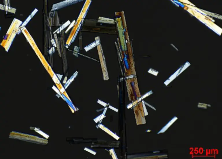 Light Microscopy & SEM Analysis Services - Resolian Analytical Sciences