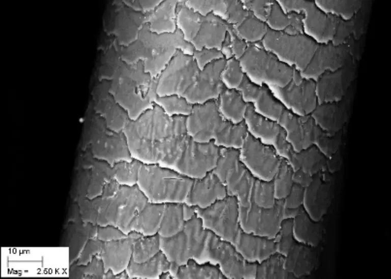 Light Microscopy & SEM Analysis Services - Resolian Analytical Sciences