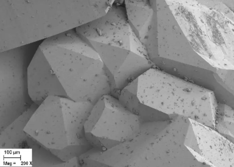 Light Microscopy & SEM Analysis Services - Resolian Analytical Sciences