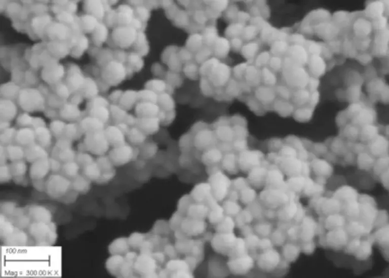 Light Microscopy & SEM Analysis Services - Resolian Analytical Sciences