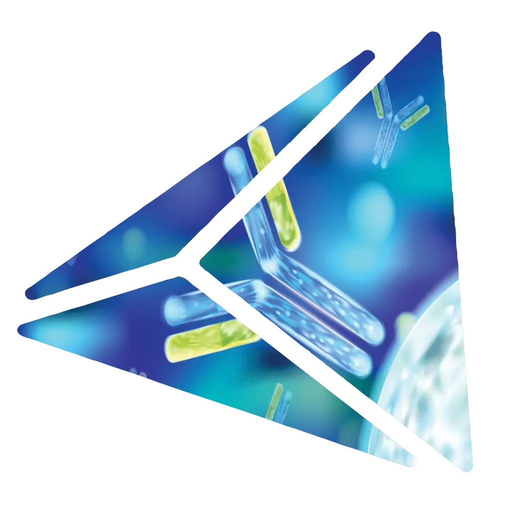 Tetrahedron photo Immunogenicity