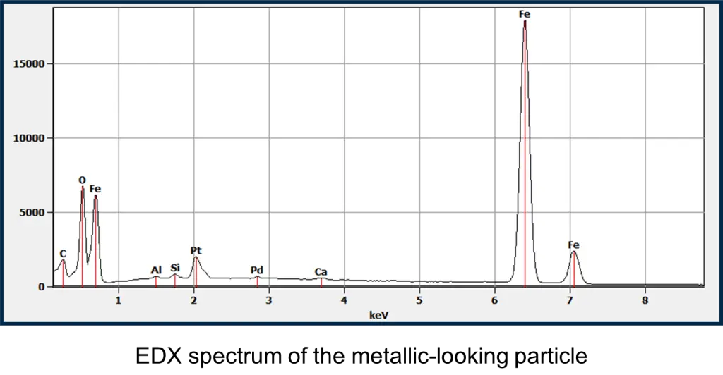 SEM-EDX analysis of iron oxide particles from pharmaceutical tank contamination