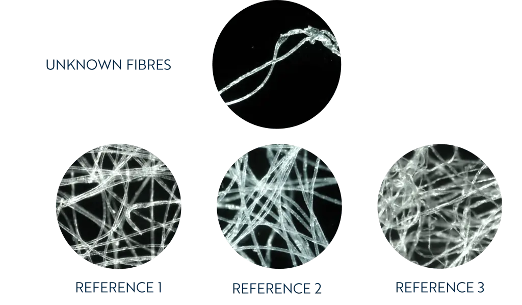 Fibres