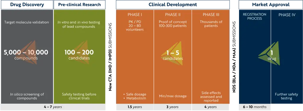 Drug Development Lifecycle