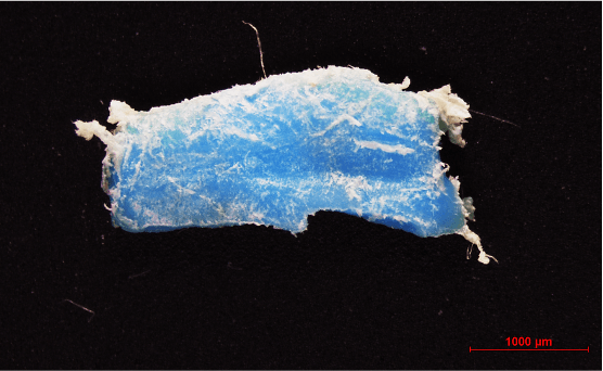 Resolian Analytical Sciences Particulate Matter Testing Services