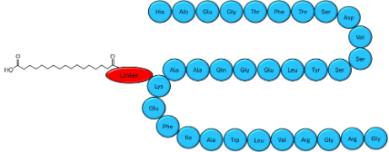 Developing and Validating a Simple, Rapid LC-MS/MS Method for Semaglutide in Human Plasma