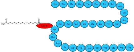 Developing and Validating a Simple, Rapid LC-MS/MS Method for Semaglutide in Human Plasma