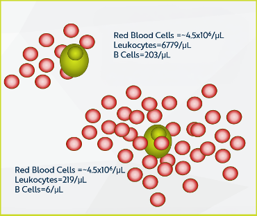 Ultra-Low B Cell Detection: Flow Cytometry Method Validation to 10 cells/μL | Resolian Case Study