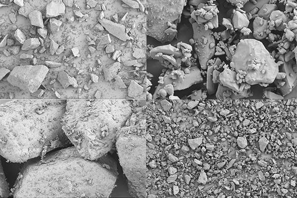 SEM images of the three sucrose fractions showing surface texture differences | Resolian