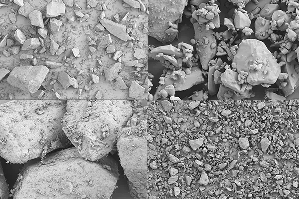 SEM images of the three sucrose fractions showing surface texture differences | Resolian