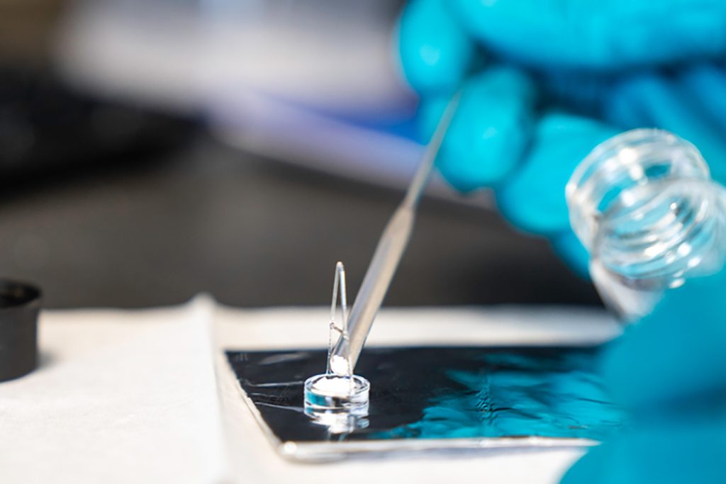 Pre & Early Formulation Development Services | Resolian Analytical Sciences