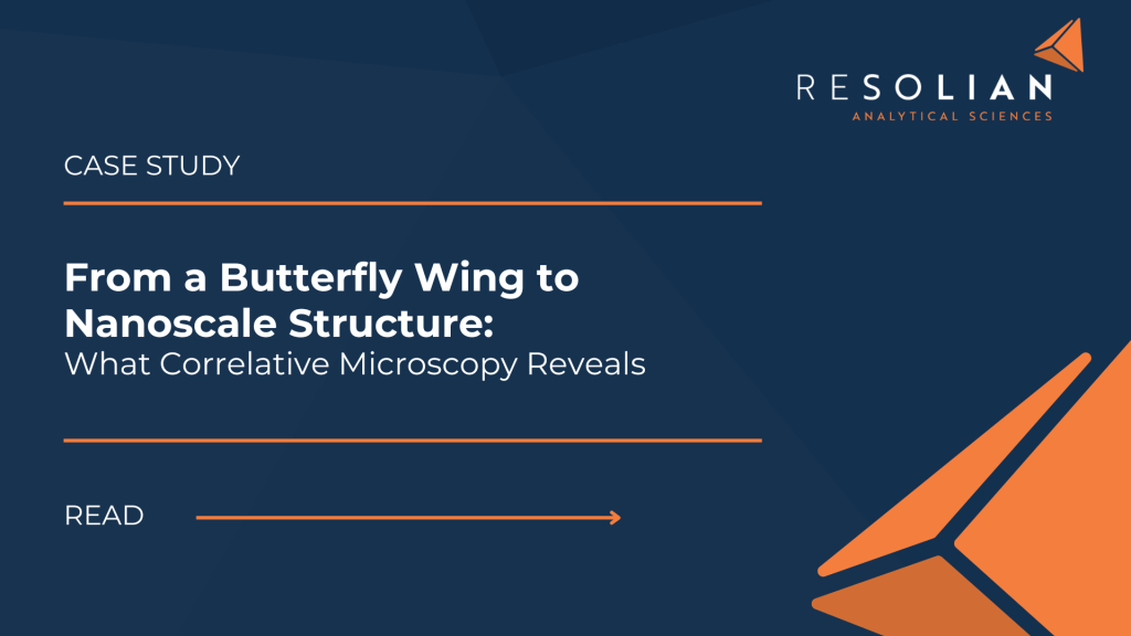 Correlative Light Microscopy and SEM Case Study - Resolian Analytical Sciences