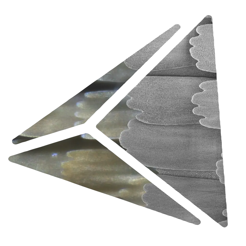 Correlative Light Microscopy and SEM Case Study - Resolian Analytical Sciences