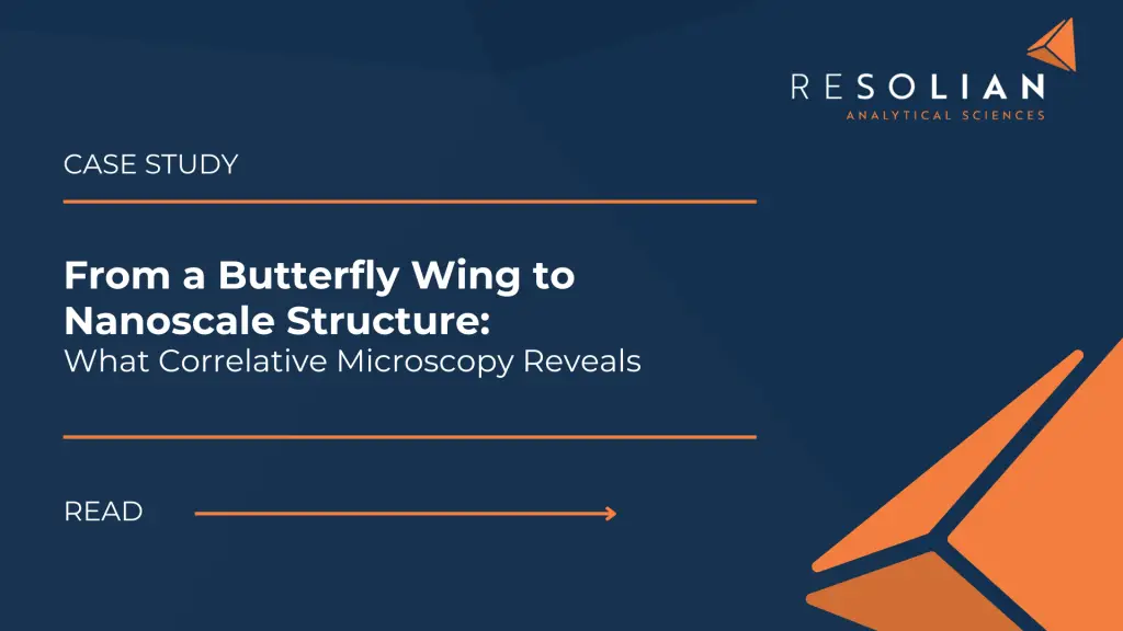Correlative Light Microscopy and SEM Case Study - Resolian Analytical Sciences