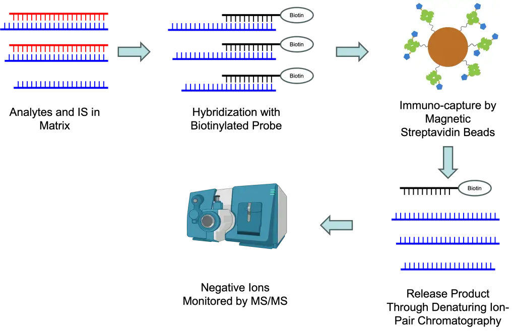 Ultra-Sensitive Hybrid LC-MS/MS Assay for siRNA Quantitation | Resolian